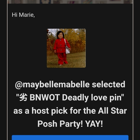 *SOLD* ⚡Host Pick⚡ 🦝 BNWOT Deadly love pin - Picture 4 of 4